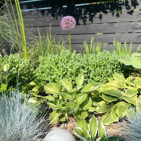 Weberhof - 3 Apartment *