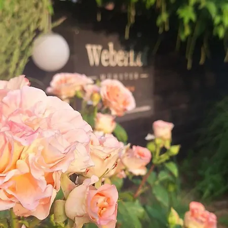 Weberhof - 3 Munster (North Rhine-Westphalia)