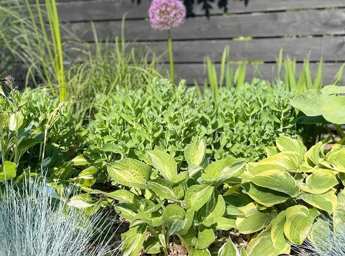 Weberhof - 3 Appartement *