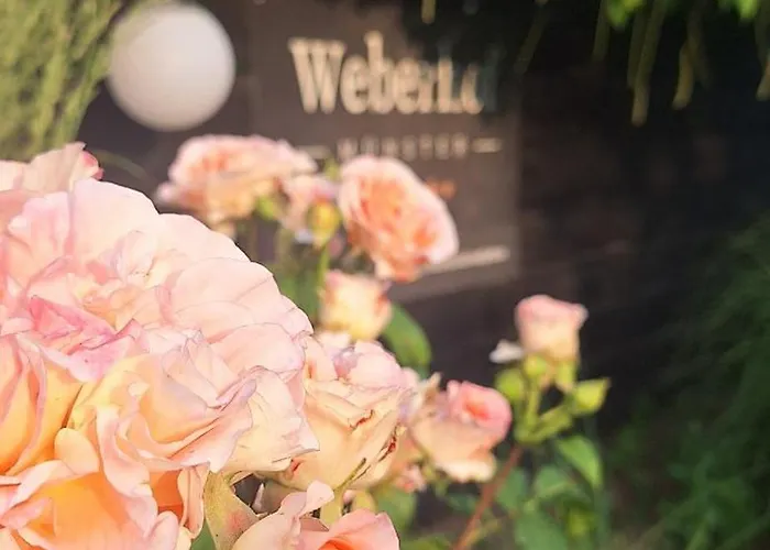 Weberhof - 3 Münster